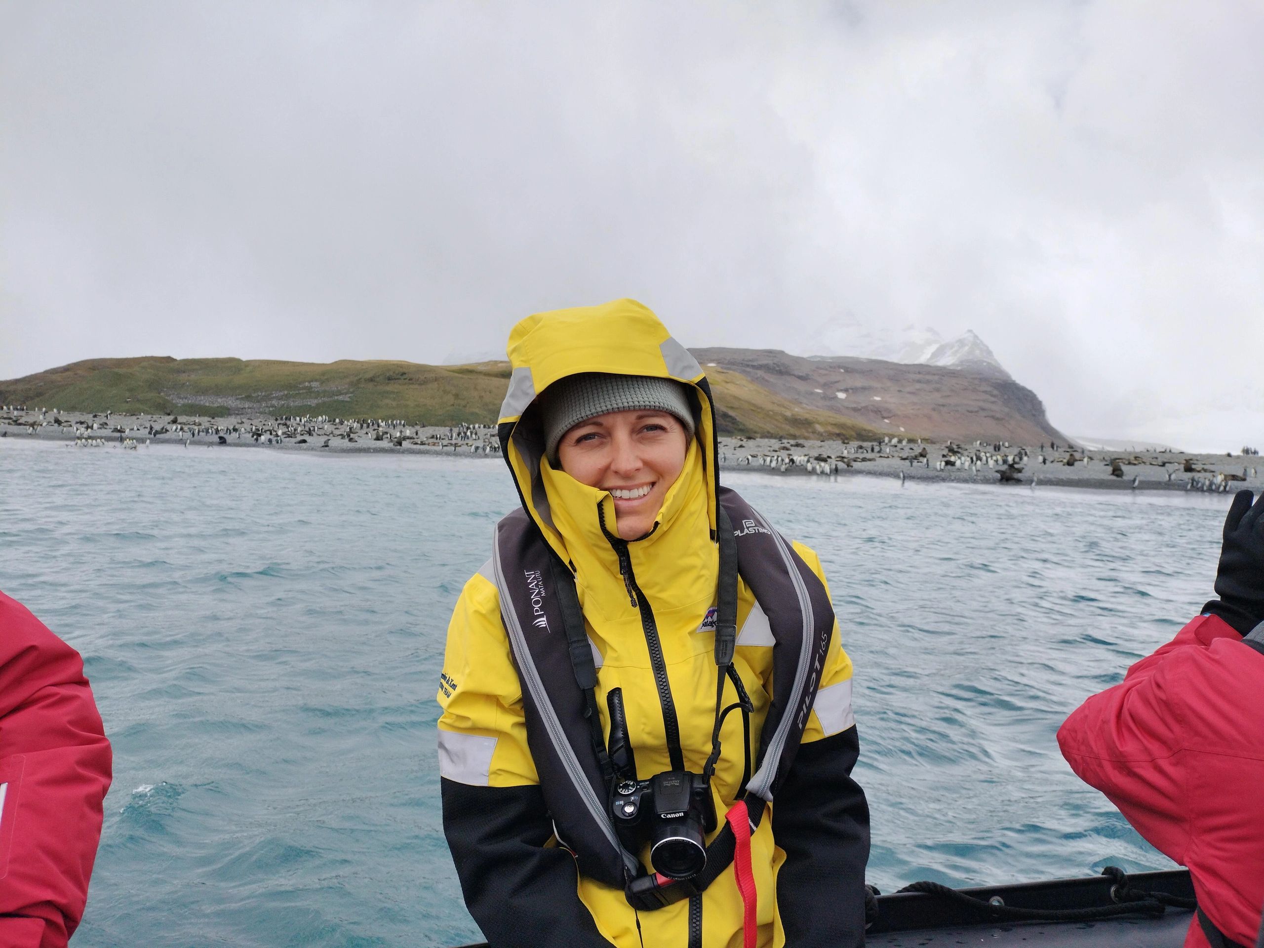 Child in yellow jacket on Arctic beach with penguins